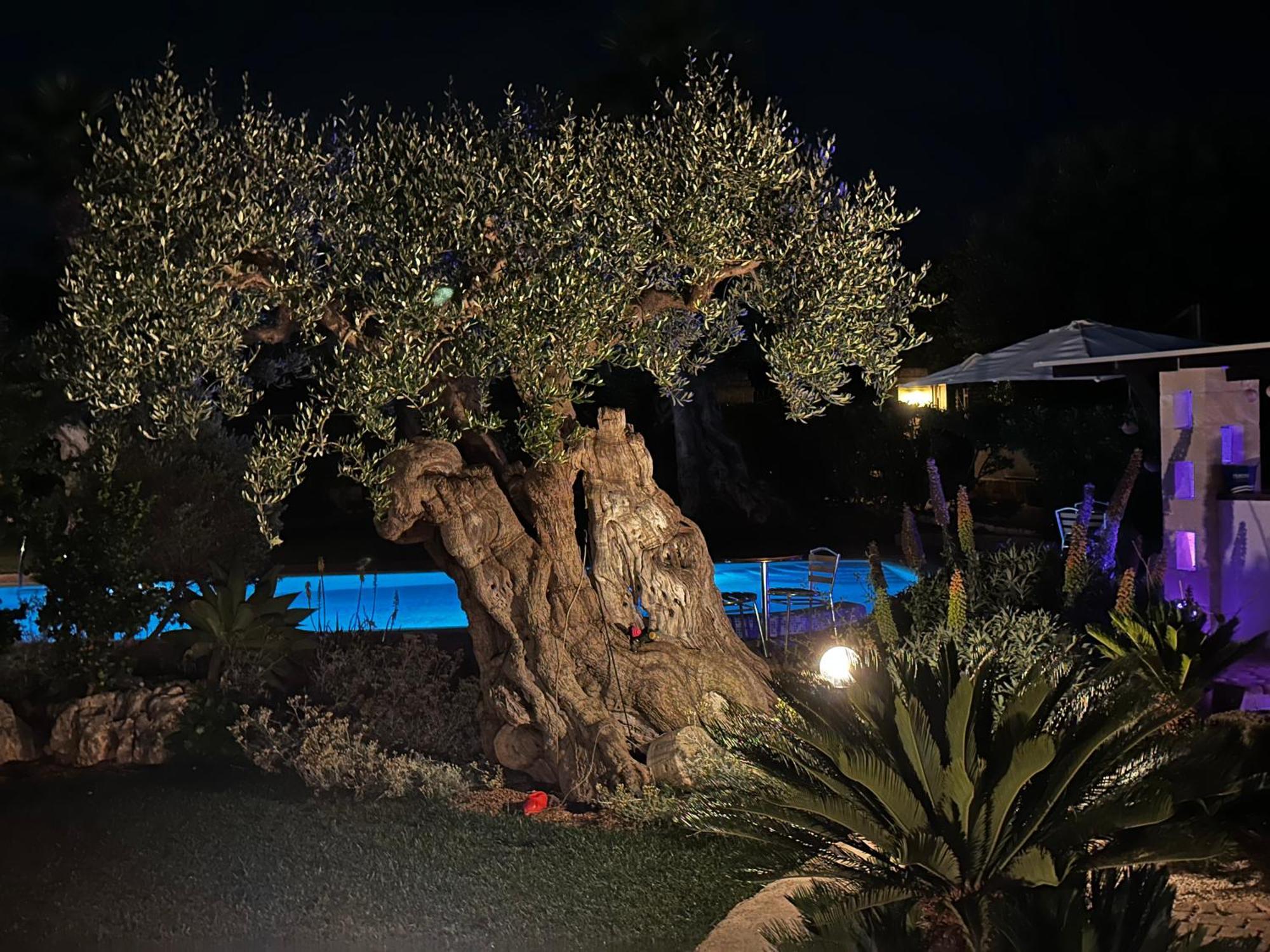 Alla Villa Di Angelo Monopoli Zimmer foto